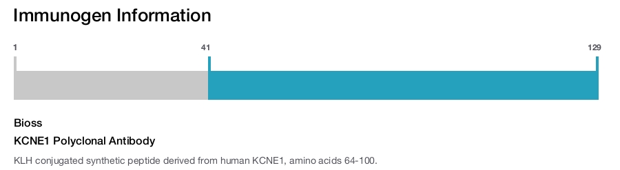 KCNE1 Polyclonal Antibody