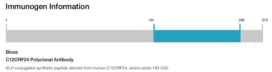 C12ORF24 Polyclonal Antibody