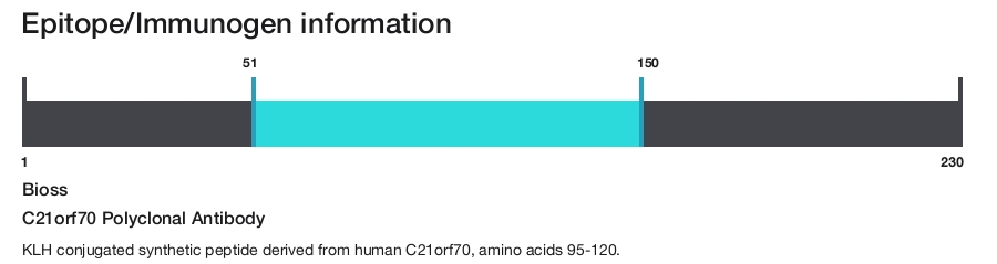 C21orf70 Polyclonal Antibody