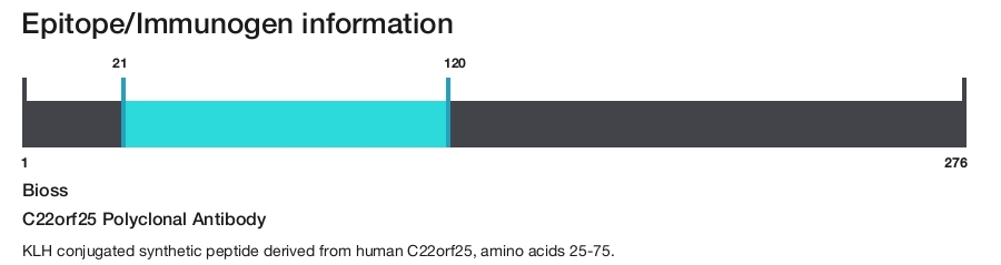 C22orf25 Polyclonal Antibody