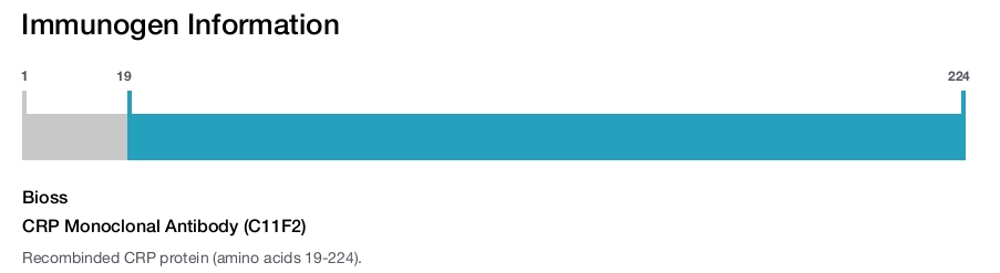 CRP Monoclonal Antibody (C11F2)
