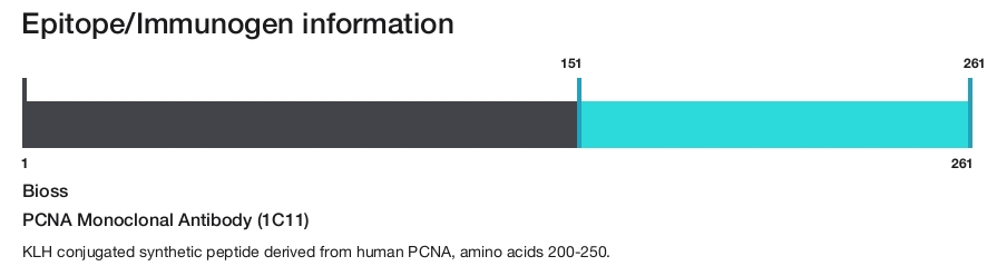 PCNA Monoclonal Antibody (1C11)