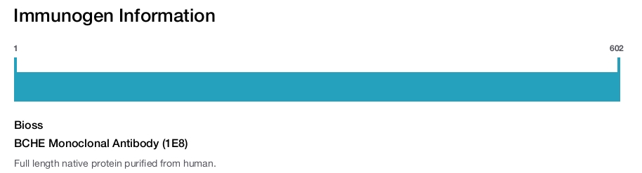 BCHE Monoclonal Antibody (1E8)