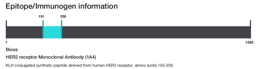 HER2 receptor Monoclonal Antibody (1A4)