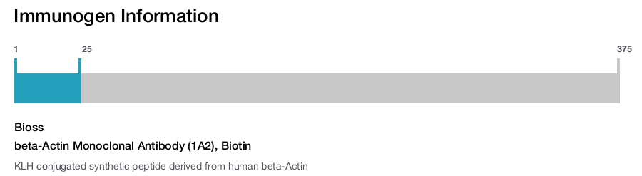 beta-Actin Monoclonal Antibody (1A2), Biotin