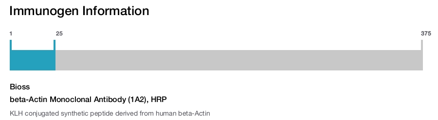 beta-Actin Monoclonal Antibody (1A2), HRP