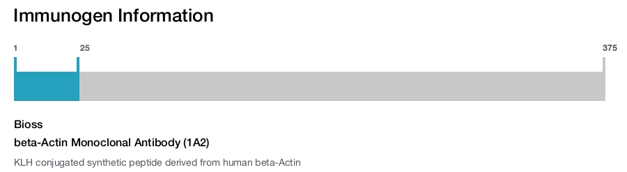 beta-Actin Monoclonal Antibody (1A2)
