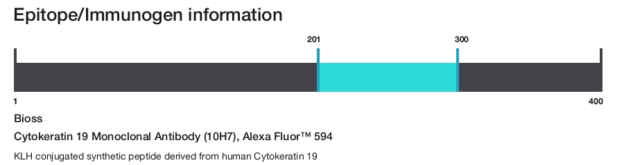Cytokeratin 19 Monoclonal Antibody (10H7), Alexa Fluor&trade; 594