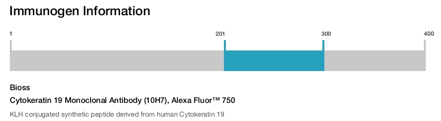 Cytokeratin 19 Monoclonal Antibody (10H7), Alexa Fluor&trade; 750