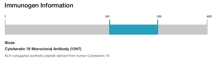 Cytokeratin 19 Monoclonal Antibody (10H7)
