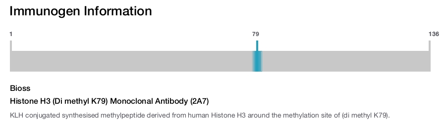 Histone H3 (Di methyl K79) Monoclonal Antibody (2A7)