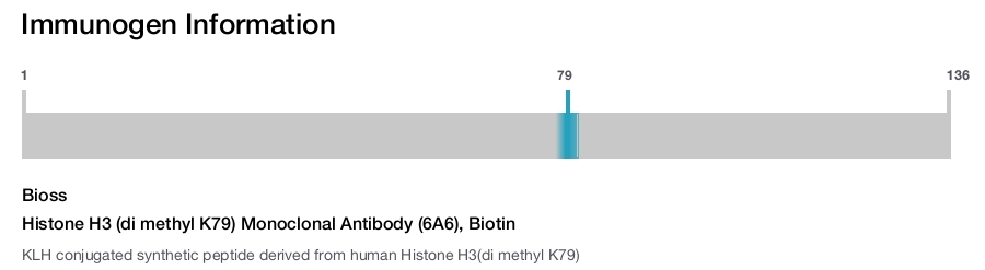 Histone H3 (di methyl K79) Monoclonal Antibody (6A6), Biotin
