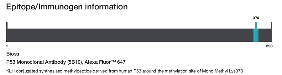 P53 Monoclonal Antibody (5B10), Alexa Fluor&trade; 647