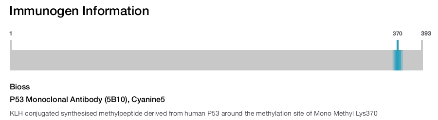 P53 Monoclonal Antibody (5B10), Cyanine5