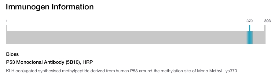 P53 Monoclonal Antibody (5B10), HRP