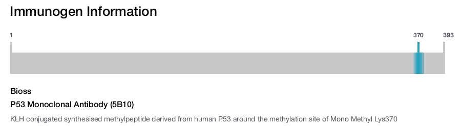 P53 Monoclonal Antibody (5B10)