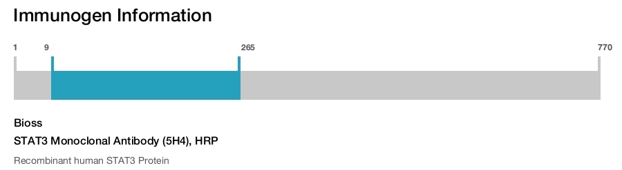 STAT3 Monoclonal Antibody (5H4), HRP