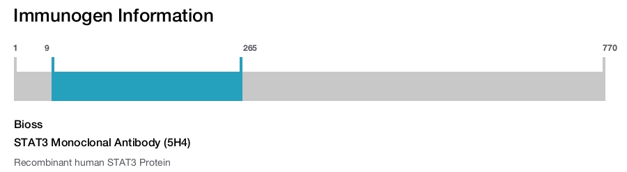 STAT3 Monoclonal Antibody (5H4)