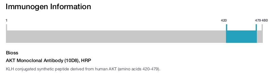 AKT Monoclonal Antibody (10D8), HRP