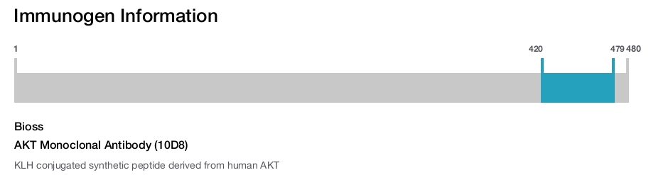 AKT Monoclonal Antibody (10D8)