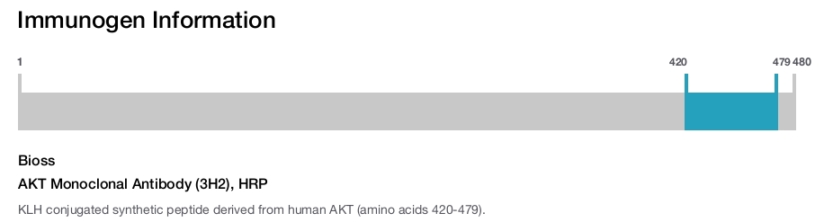 AKT Monoclonal Antibody (3H2), HRP