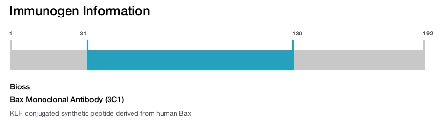 Bax Monoclonal Antibody (3C1)