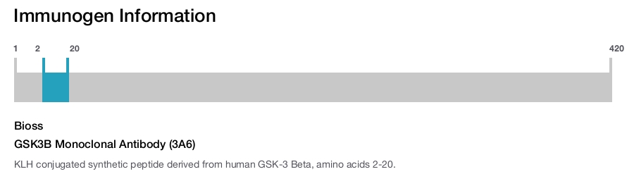 GSK3B Monoclonal Antibody (3A6)