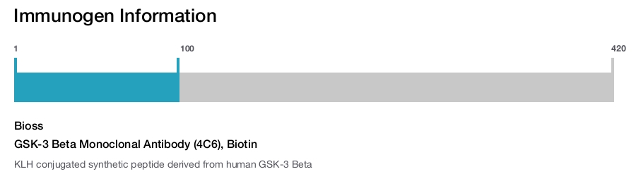 GSK-3 Beta Monoclonal Antibody (4C6), Biotin