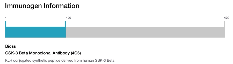 GSK-3 Beta Monoclonal Antibody (4C6)