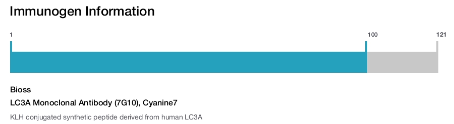 LC3A Monoclonal Antibody (7G10), Cyanine7