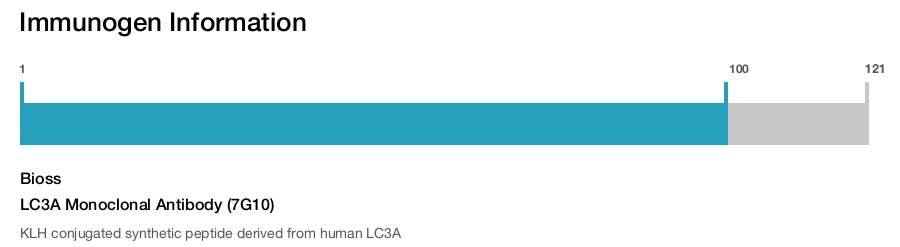LC3A Monoclonal Antibody (7G10)