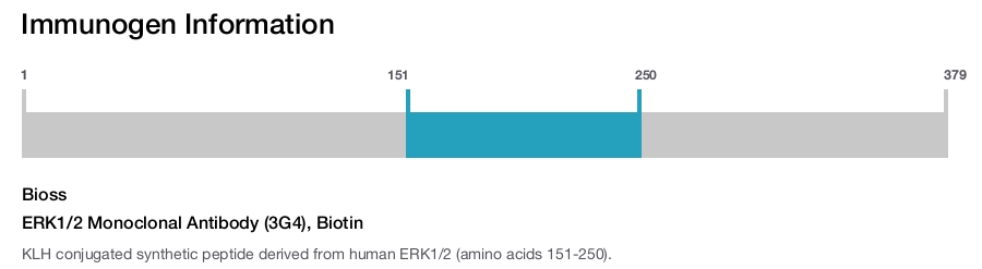 ERK1/2 Monoclonal Antibody (3G4), Biotin