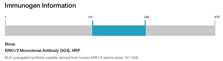 ERK1/2 Monoclonal Antibody (3G4), HRP