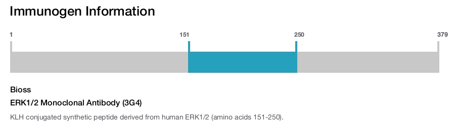 ERK1/2 Monoclonal Antibody (3G4)