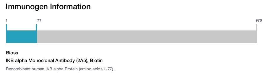 IKB alpha Monoclonal Antibody (2A5), Biotin