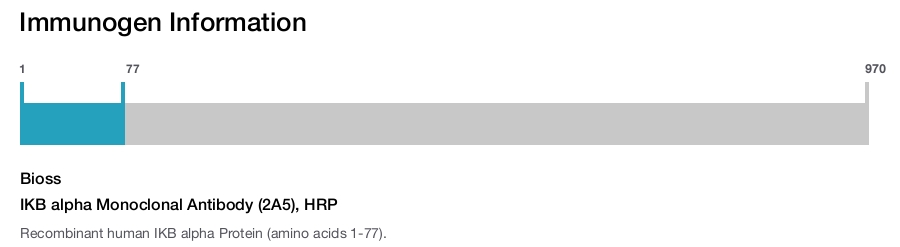 IKB alpha Monoclonal Antibody (2A5), HRP