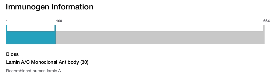 Lamin A/C Monoclonal Antibody (30)