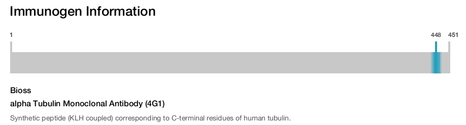 alpha Tubulin Monoclonal Antibody (4G1)