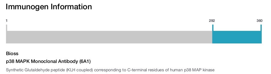 p38 MAPK Monoclonal Antibody (6A1)