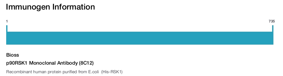 p90RSK1 Monoclonal Antibody (8C12)