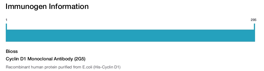 Cyclin D1 Monoclonal Antibody (2G5)