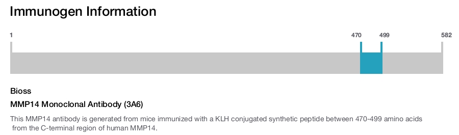 MMP14 Monoclonal Antibody (3A6)