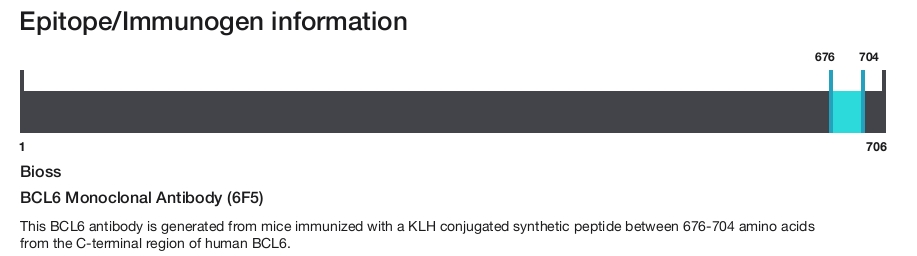 BCL6 Monoclonal Antibody (6F5)