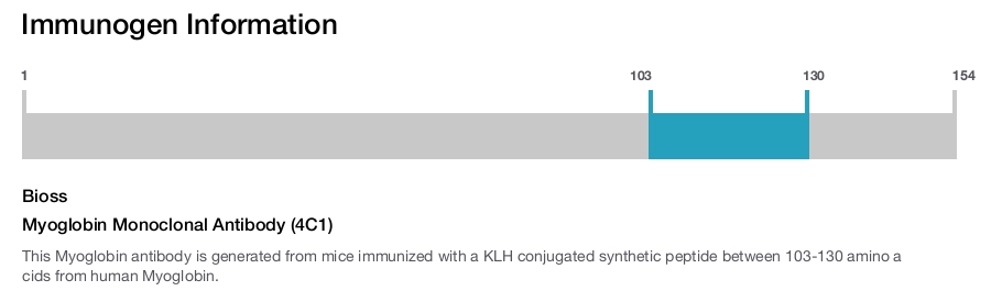 Myoglobin Monoclonal Antibody (4C1)