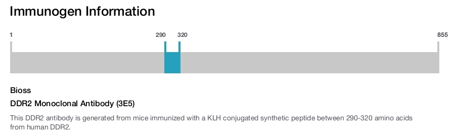 DDR2 Monoclonal Antibody (3E5)