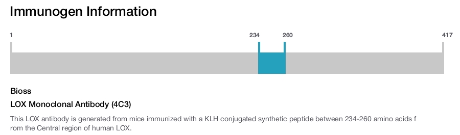 LOX Monoclonal Antibody (4C3)