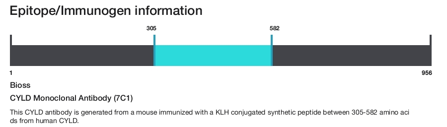 CYLD Monoclonal Antibody (7C1)