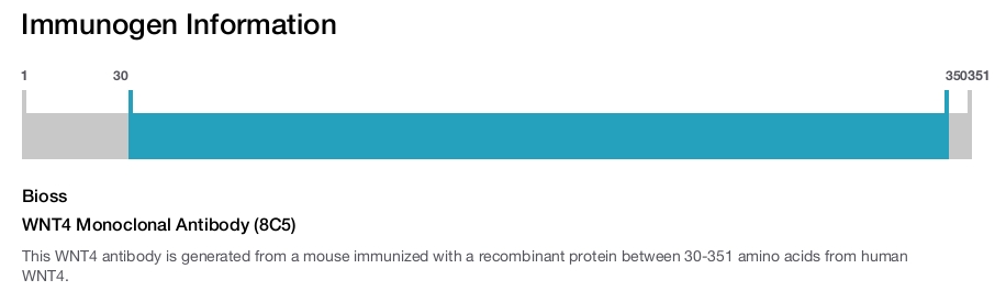 WNT4 Monoclonal Antibody (8C5)