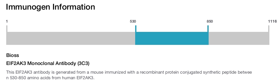 EIF2AK3 Monoclonal Antibody (3C3)