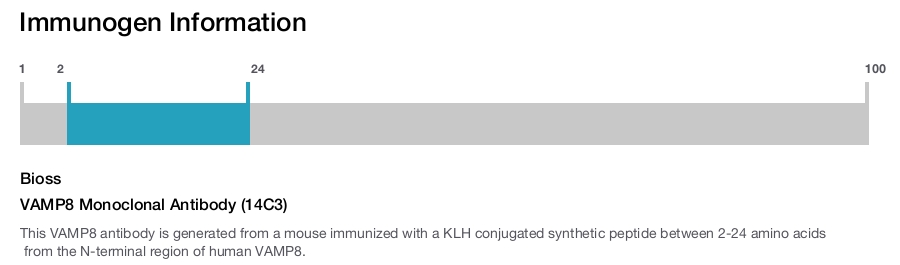 VAMP8 Monoclonal Antibody (14C3)